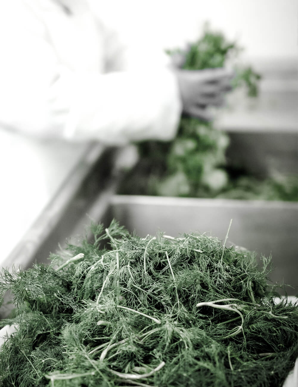 Brett Anthony Foods' Full-Service Prepared Foods Solution commercial kitchen with a worker washing fresh herbs, showcasing quality vendors and produce partners sourced.