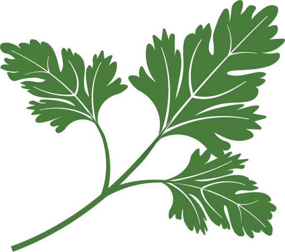 Parsley Leaf 04 Cropped - Brett Anthony Foods